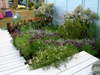 Sandringham Flower Show 11